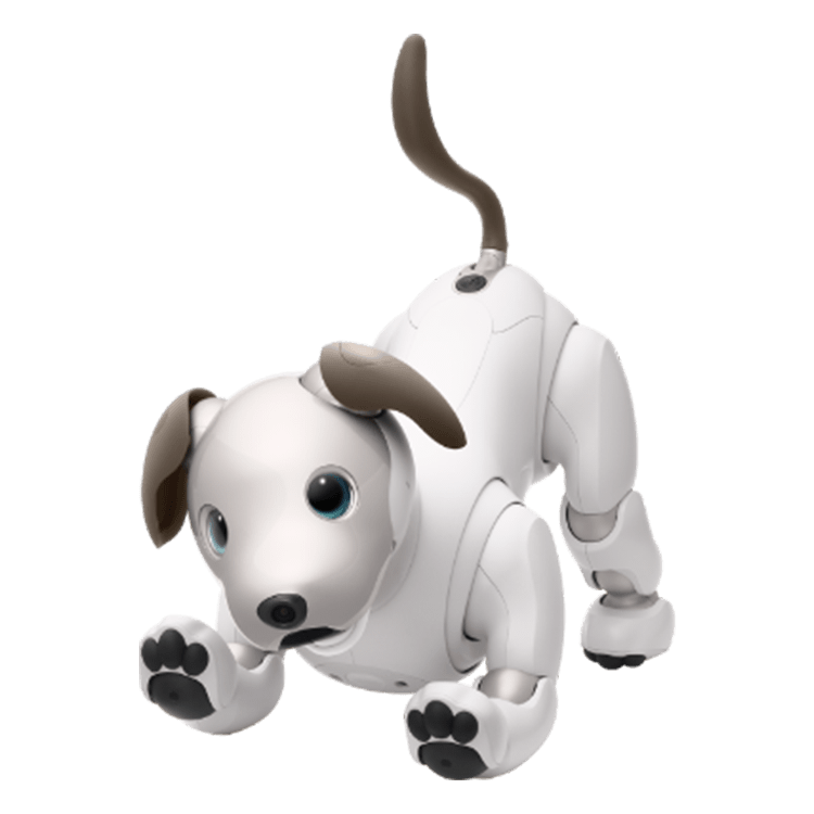 aibo