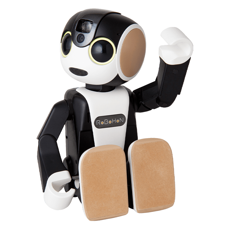 RoBoHoN