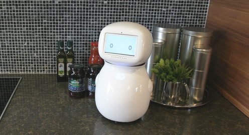 ホームロボット「シナモン」